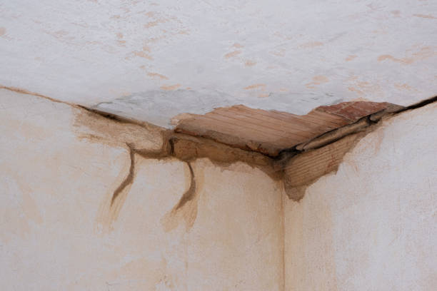 Best Water damage restoration near me  in Valley Forge, TN
