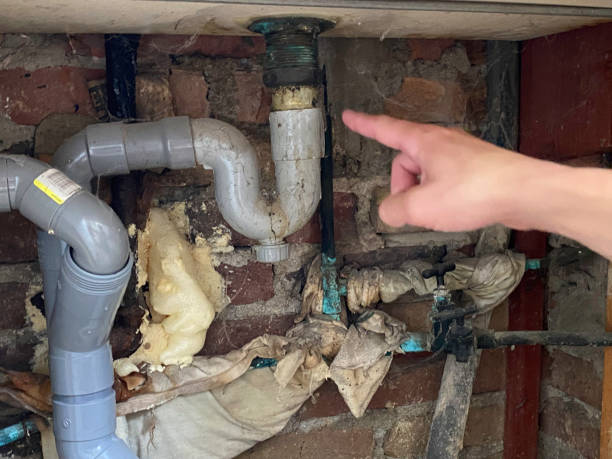 Best Mold removal after water damage  in Valley Forge, TN