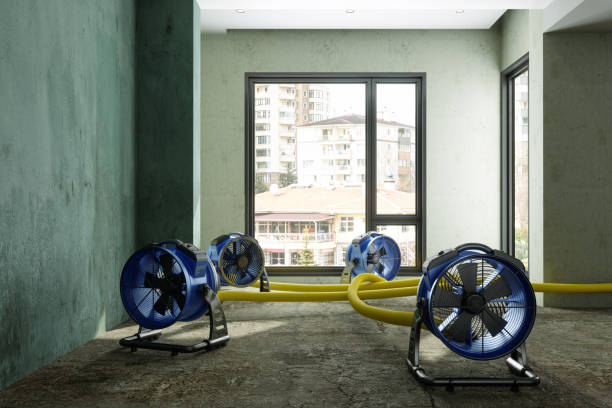 Best Sewage cleanup and water damage restoration  in Valley Forge, TN